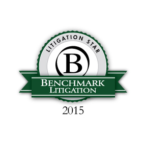 litigation
